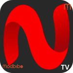 NetMirror TV icon
