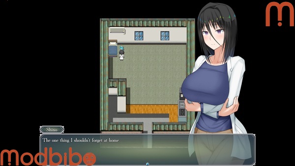 shinos insatiable pursuit of knowledge game