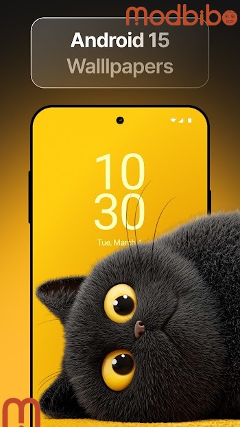 wallpics apk app