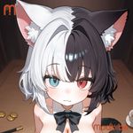 Welcome to Lilka's Magic Show