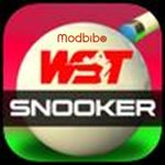 WST Snooker icon