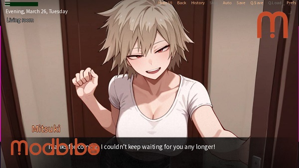 download A Night With Mitsuki APK