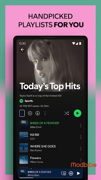download spotify duo apk mod