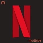 Netflix TV icon