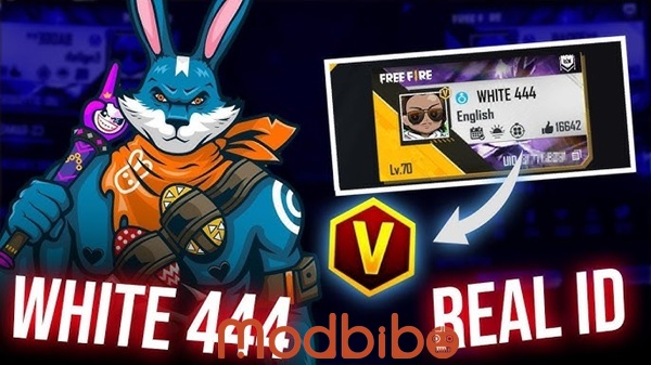 Painel white 444 apk mod