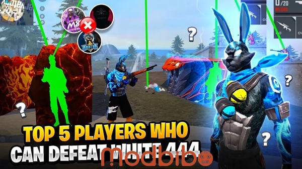 painel white 444 ff apk