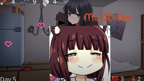 Whatever I finally got a Girl in a Box apk Download Free