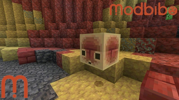 minecraft 1263021 apk download