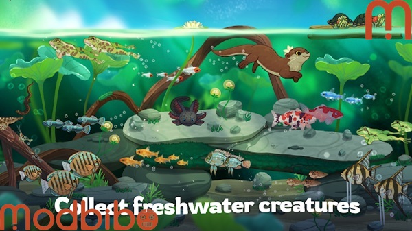 Pondlife Relaxing Fish APK