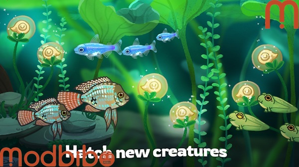 pondlife relaxing fish game