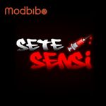 Setesensi.shop icon