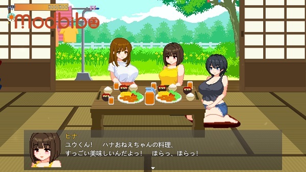 summer sisters download